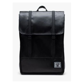 Herschel Survey II 2