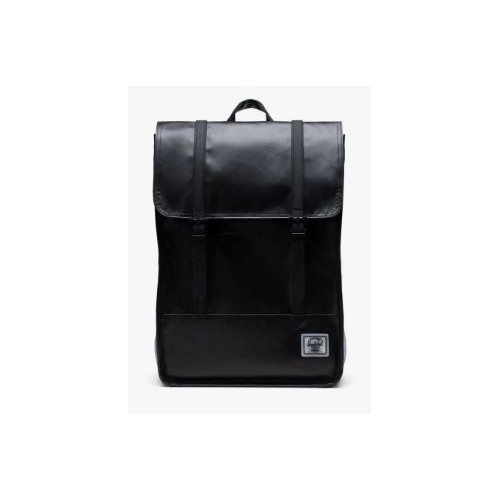Herschel Survey II