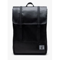 Herschel Survey II
