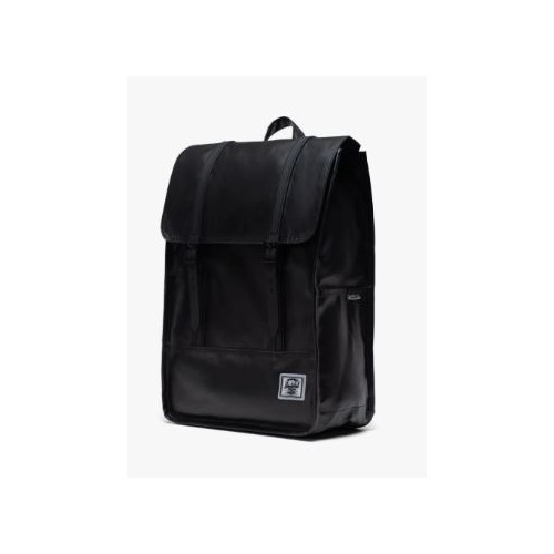 Herschel Survey II