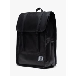 Herschel Survey II
