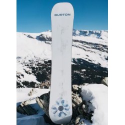 Burton Process Camber