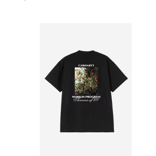 S/S Warm Views T-Shirt Carhartt Wip