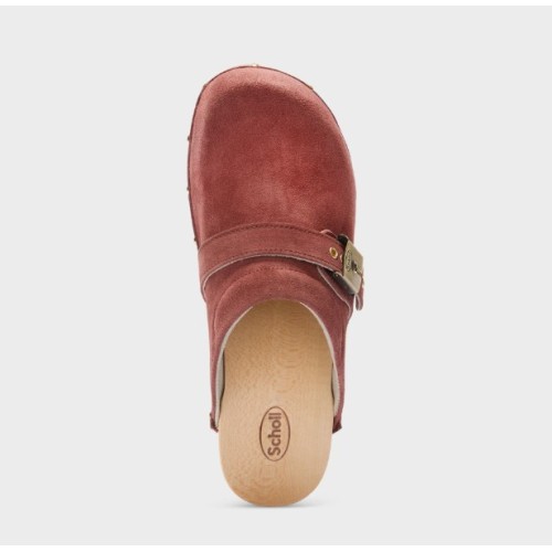 Pescura Clog 50 W Scholl